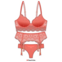 FRENCH AFFAIR LADIES BRA SET,$3.50 A SET